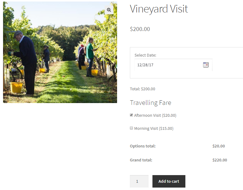 WooCommerce Booking & Appointment plugin compatibility with WooCommerce Product Addons - Tyche Softwares