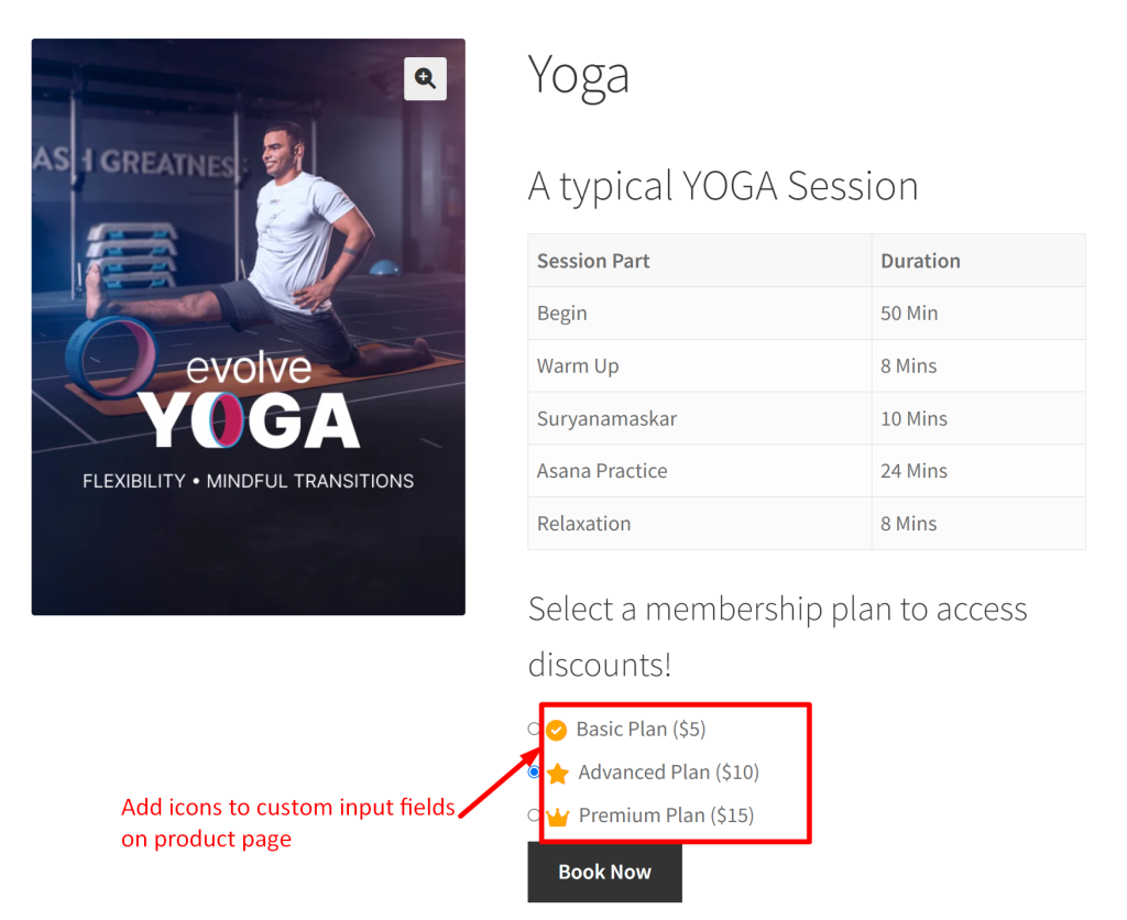 How to Add Custom Icons to Radio Button Input Fields in WooCommerce? - Tyche Softwares