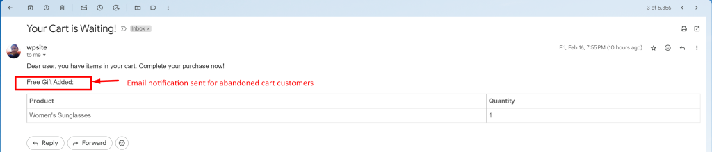 How To Send Email Notification and Add a Free Gift for an Abandoned Cart? - Tyche Softwares