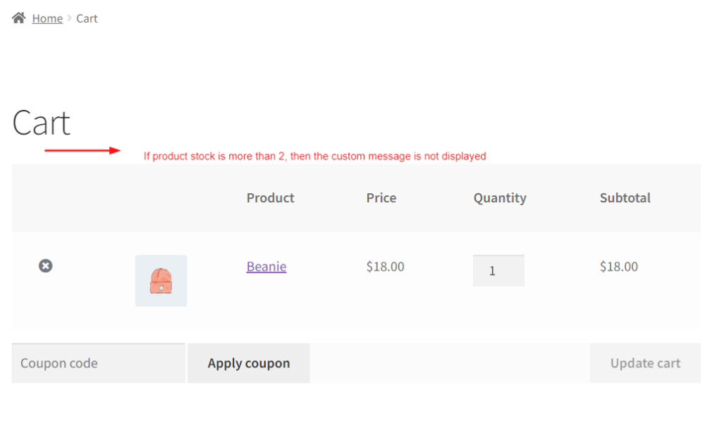 How to Display Custom Message For Low-Stock Product in WooCommerce Cart? - Tyche Softwares