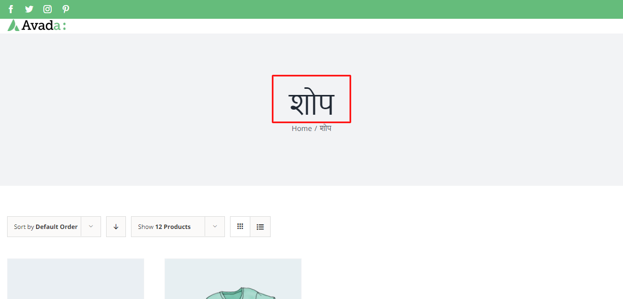 How to Set Up WooCommerce Multilingual Store and Translate - Tyche Softwares