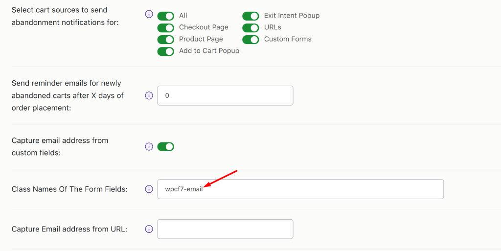 How to Capture Email Address from Custom Fields in WooCommerce Abandoned Cart plugin? - Tyche Softwares